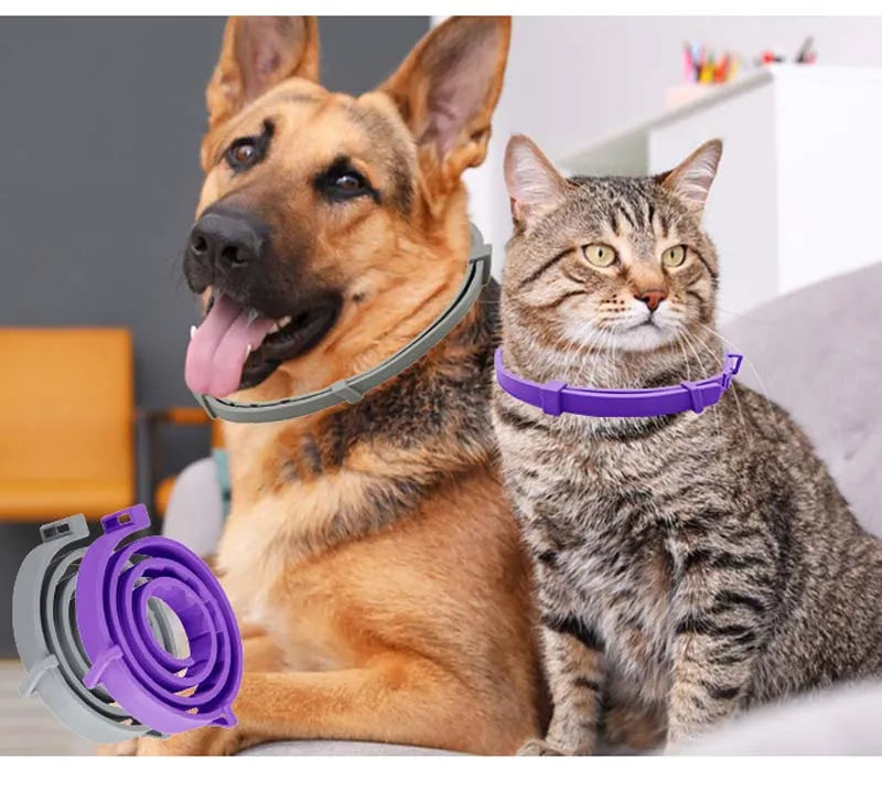 Collar Antiparasitário Ajustável para Cães e Gatos - Proteção Contra Pulgas, Mosquitos e Insetos