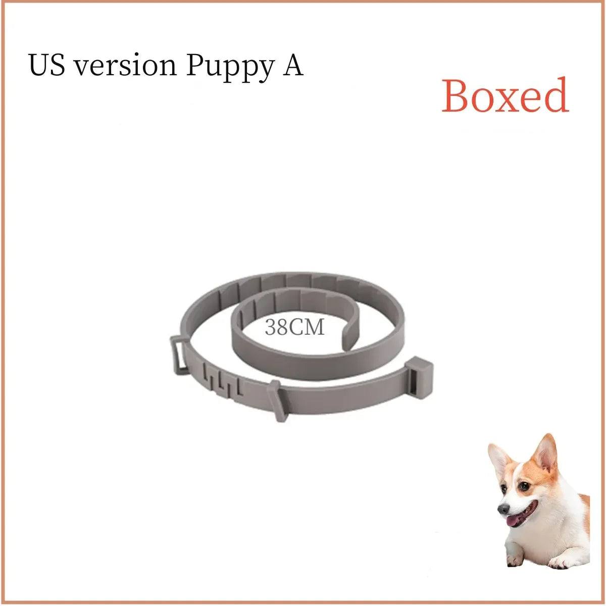 Collar para Cães e Gatos - Acessório Pet Ajustável e Confortável