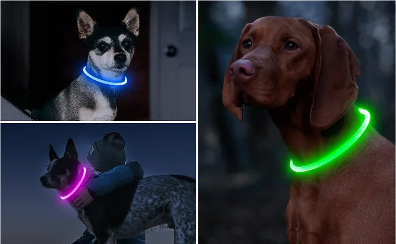 Colar Refletor LED para Cães - Segurança e Visibilidade Noturna