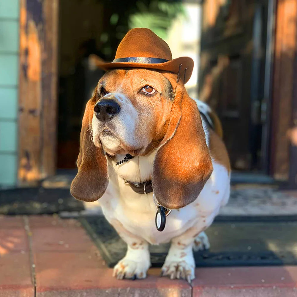 Chapéu de Cowboy para Gatos: Acessório Divertido e Estiloso