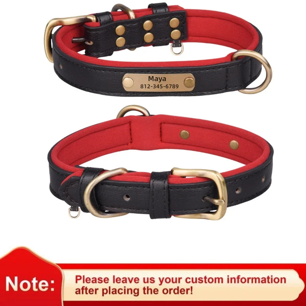 Collar de Cão de Couro Personalizado com Identificação - Ajustável e Almofadado