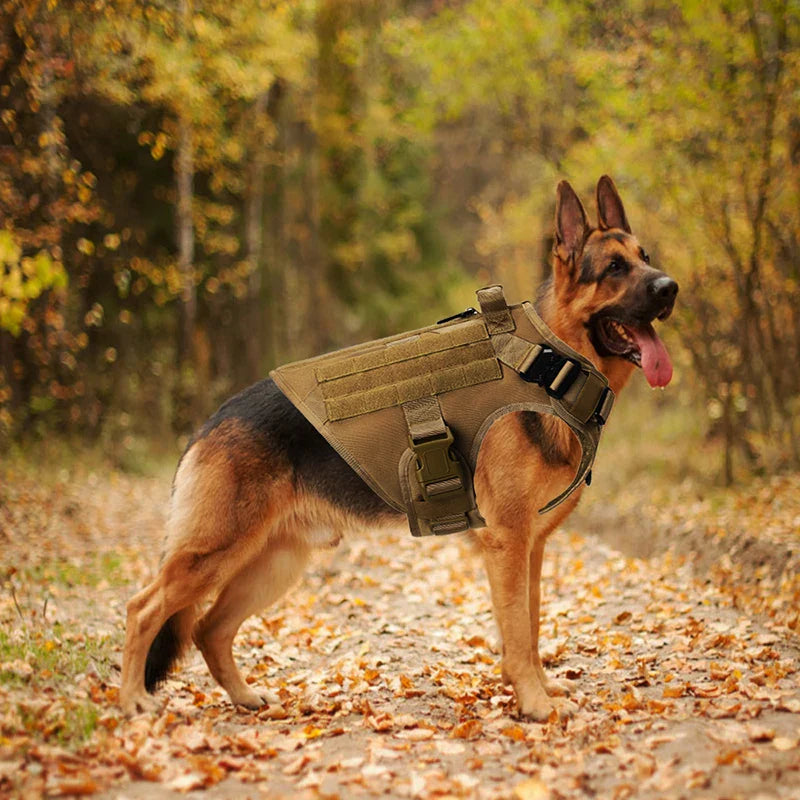 Colete Tático Militar para Cães - Conforto e Durabilidade