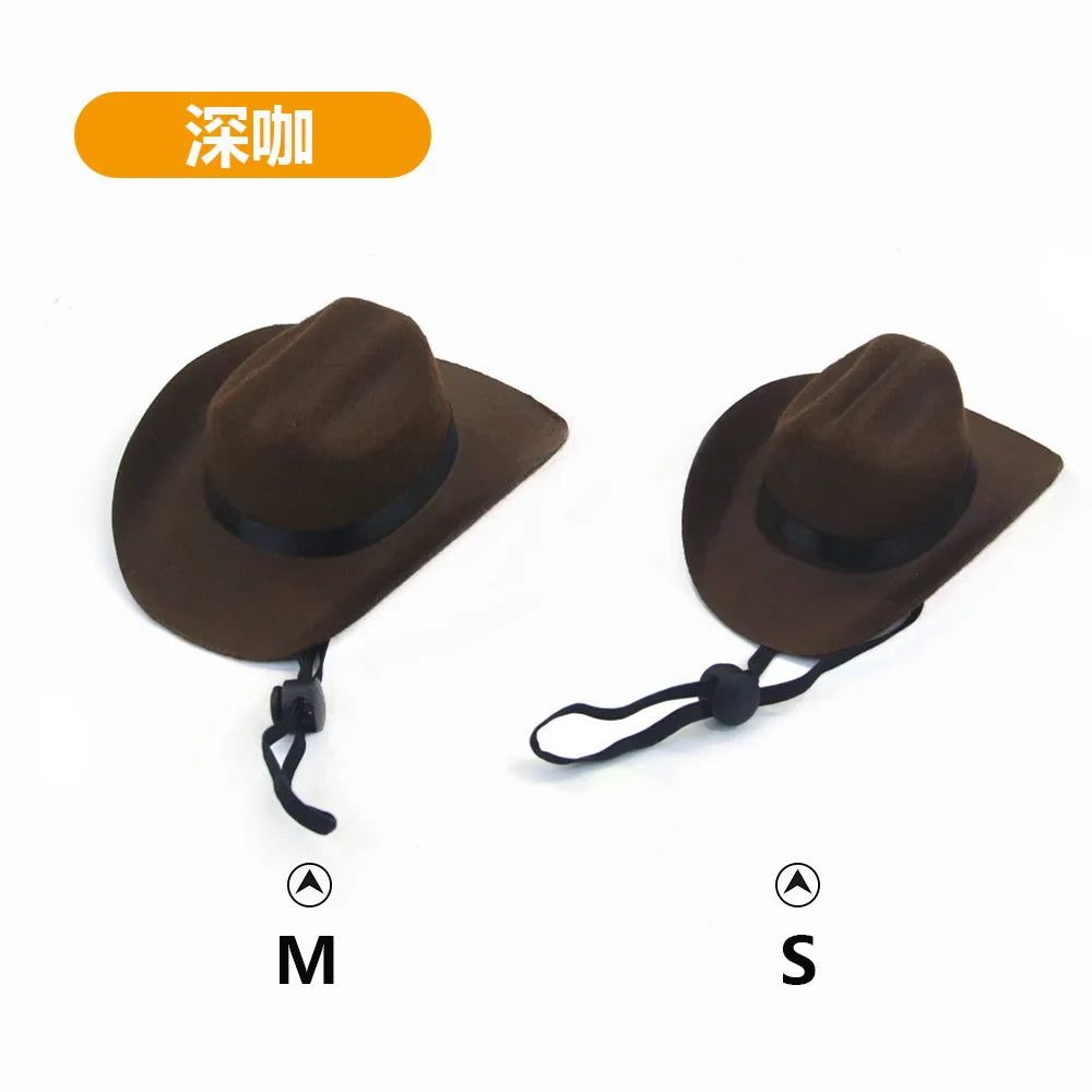 Chapéu de Cowboy para Gatos: Acessório Divertido e Estiloso