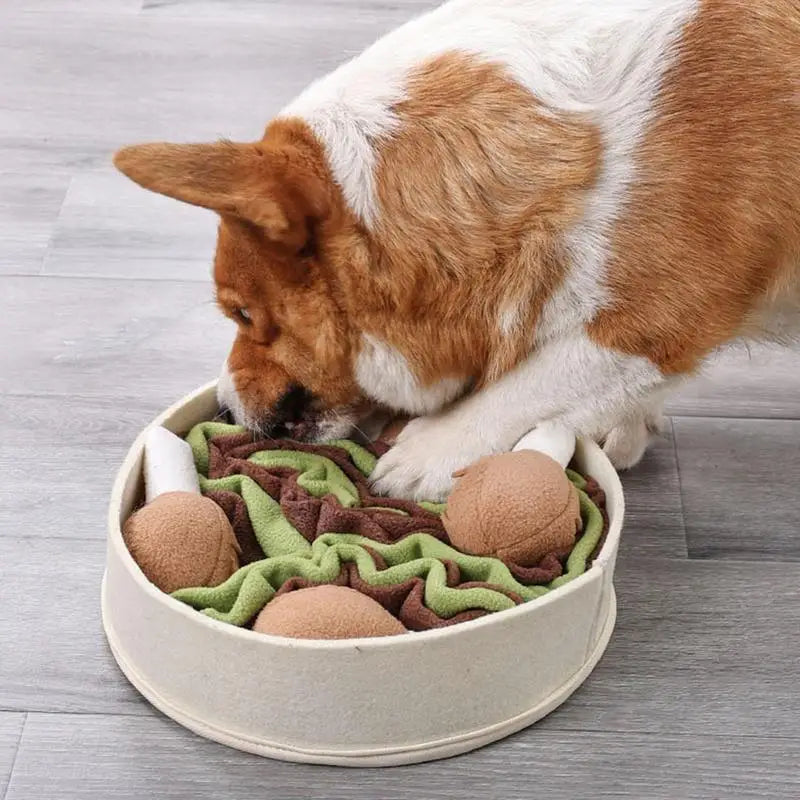 Brinquedo Interativo para Cães - Diversão com Pato e Estímulo Mental