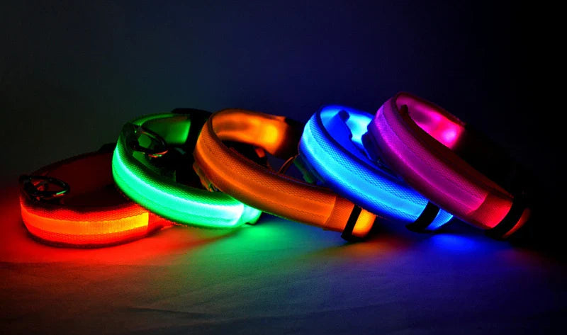 Colar de Cão com LED Carregável USB - Segurança Noturna para Pequenos Animais