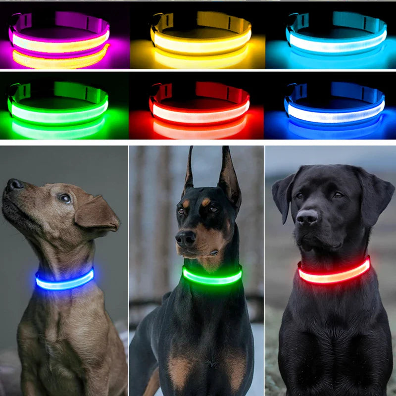 Colar de Cão com LED Carregável USB - Segurança Noturna para Pequenos Animais