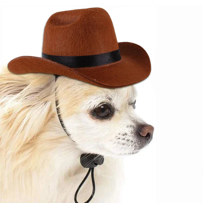 Chapéu de Cowboy para Gatos: Acessório Divertido e Estiloso