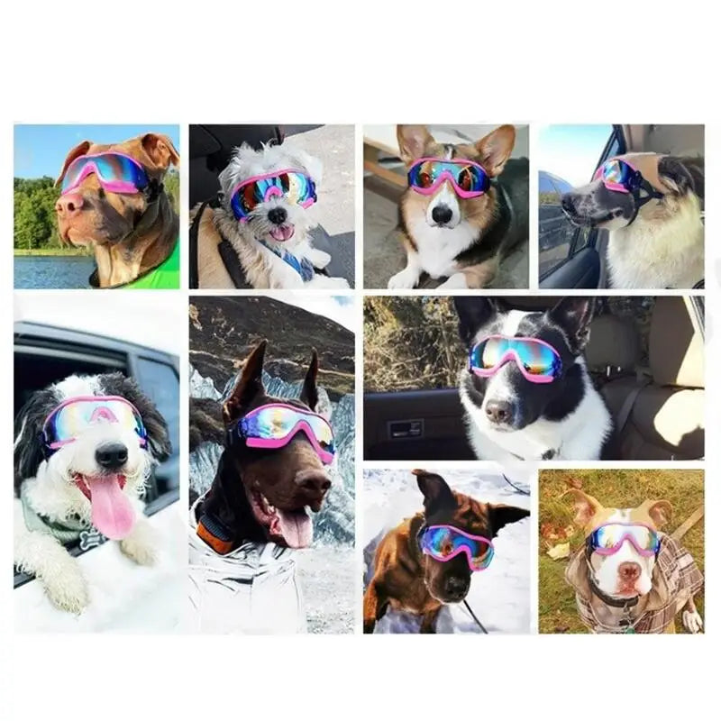 Óculos de Sol para Cachorros - Proteção UV e Estilo para Seu Pet