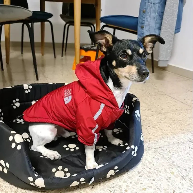 Jaqueta Impermeável de Fleece para Cães - Conforto e Proteção