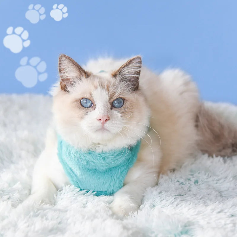 Conjunto de Coleira e Peitoral Reflexivo e Aconchegante para Gatos e Cães Pequenos