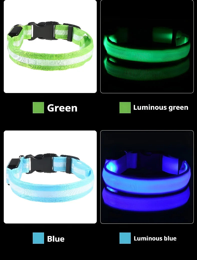 Colar de Nylon com LED para Cães - Segurança Noturna Brilhante e Fluorescente