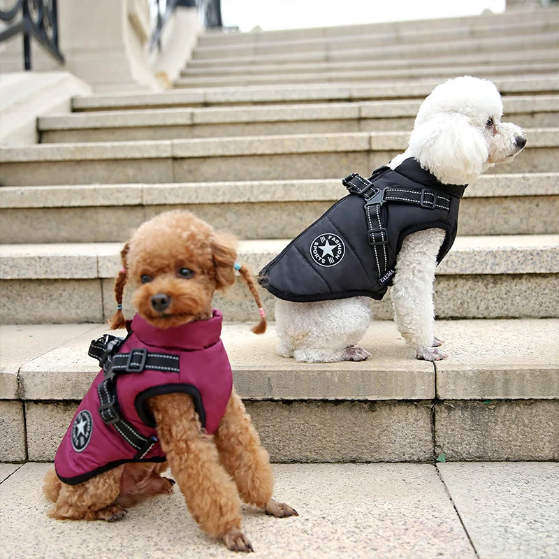 Jaqueta Impermeável e Aquecida para Cães com Arnês - Roupas de Inverno para Dogs