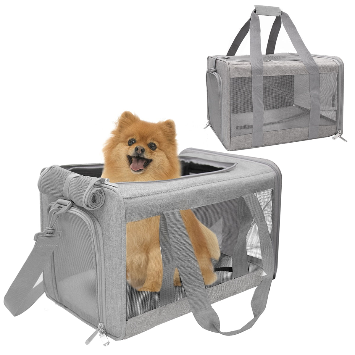 Bolsa Aprovada para Transporte de Animais em Viagens Aéreas