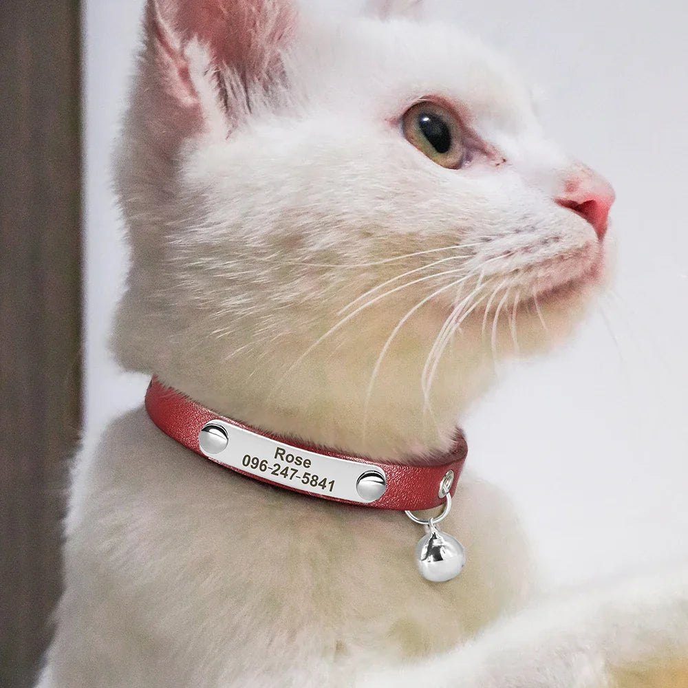 Collar Personalizado para Gatos | Coleira Ajustável de Couro com Nome | Acessórios Anti-perda