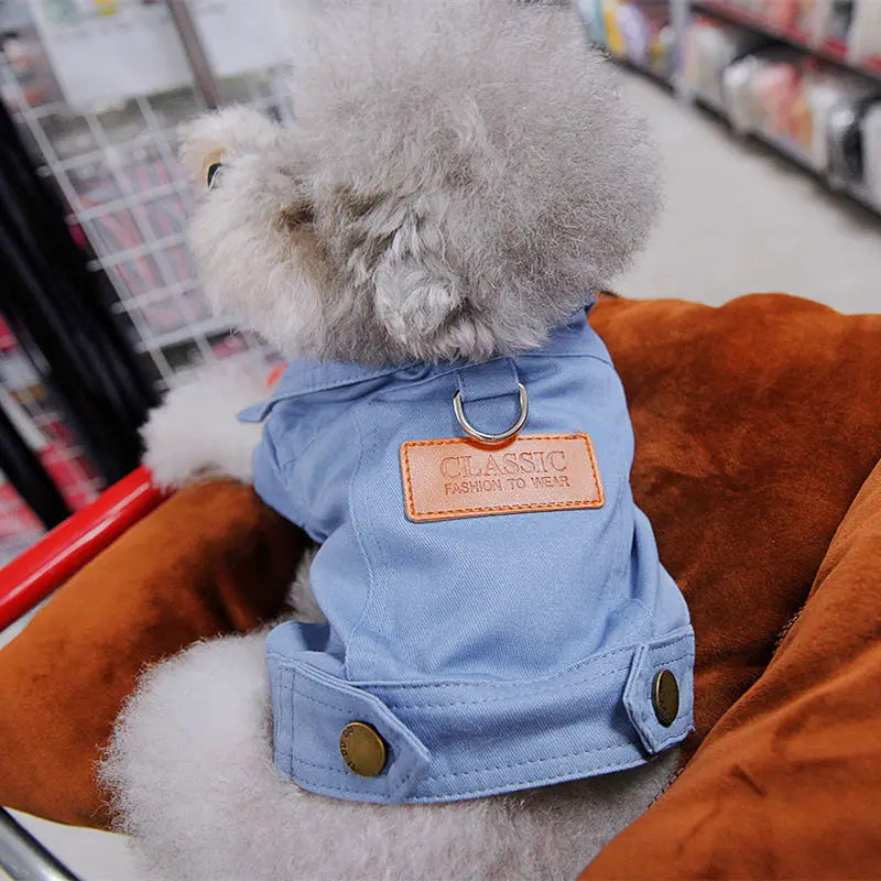 Conjunto de Roupa Jeans para Cães: Casaco com Argola para Guia - Ideal para Cães Pequenos e Médios