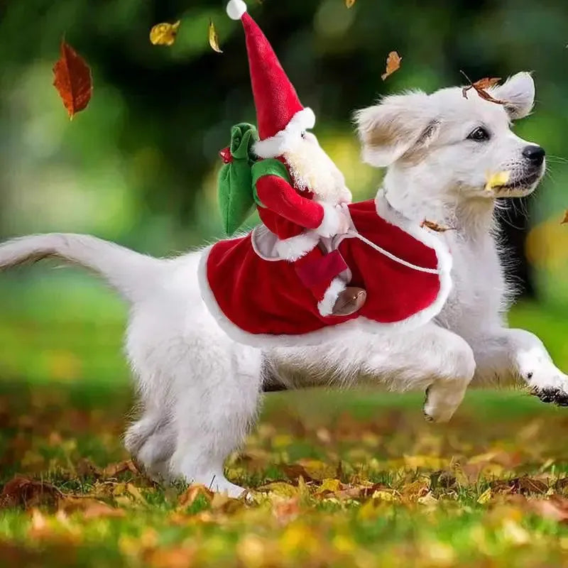 Fantasia de Natal para Cachorros - Traje Divertido para Pets