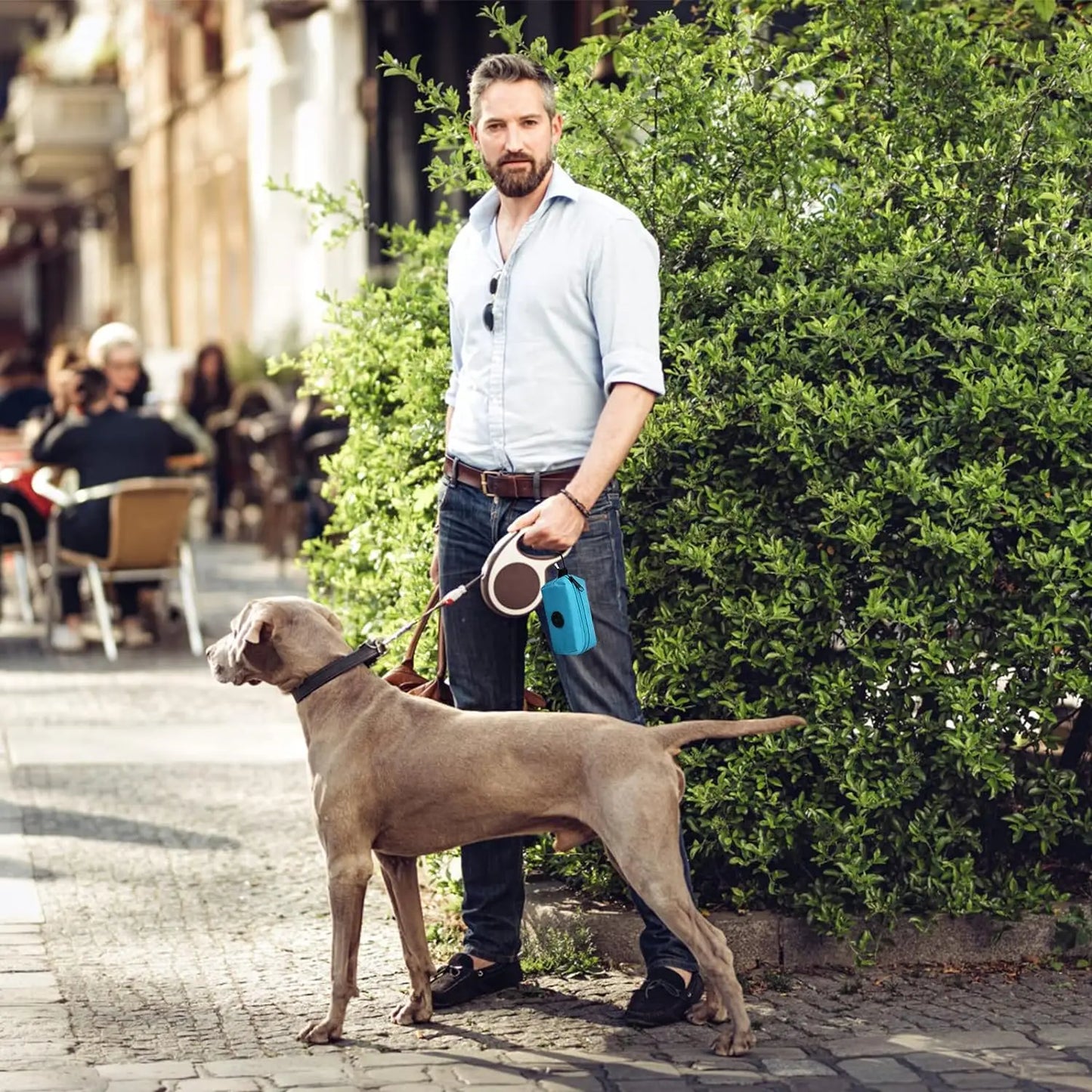 Dispensador de Sacos para Cocô de Cachorro - Acessórios Práticos para Coleta de Resíduos