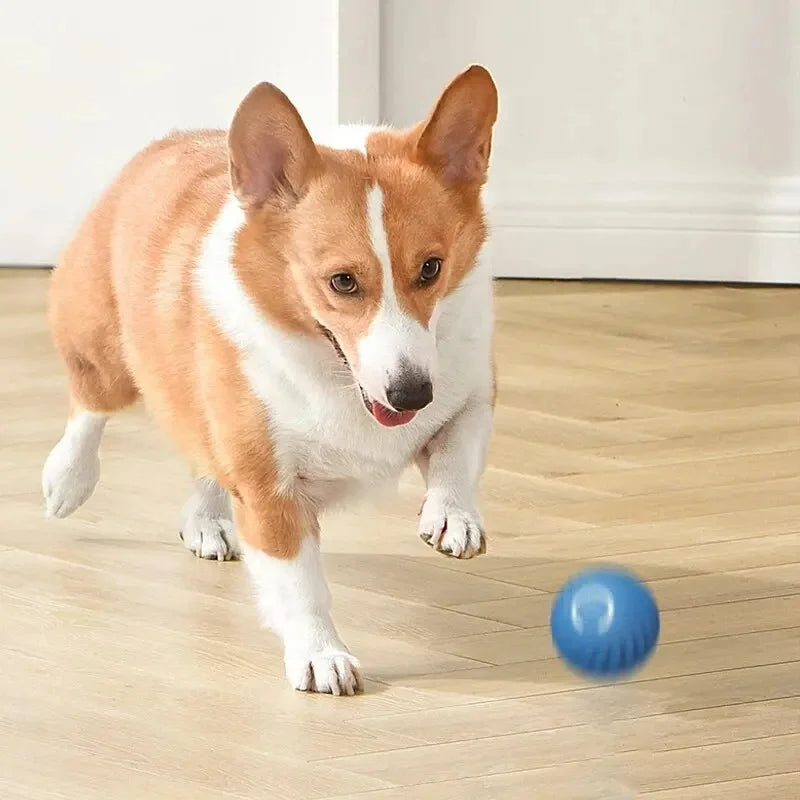 Bola Interativa para Pets: Brinquedo Eletrônico Automático para Cachorros e Gatos