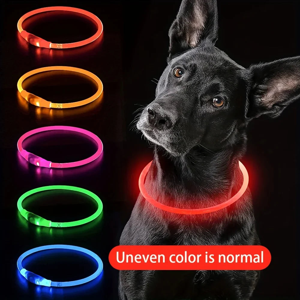 Collar LED Luminoso para Cães - Recarregável e Anti-perda