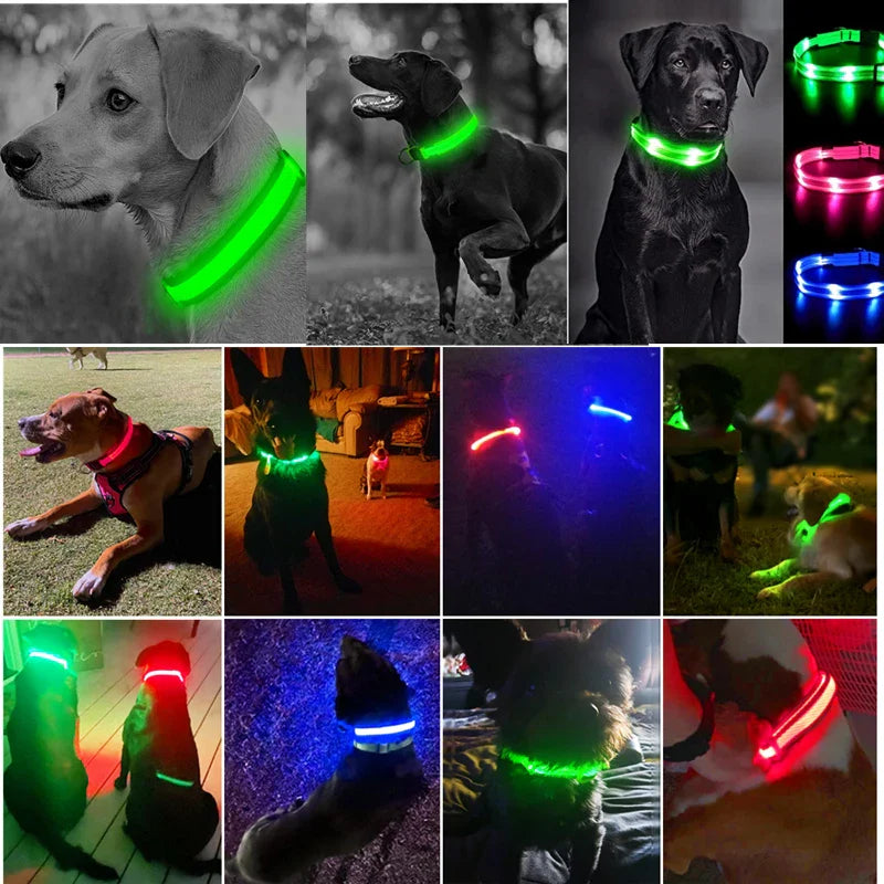 Colar de Cão com LED Carregável USB - Segurança Noturna para Pequenos Animais