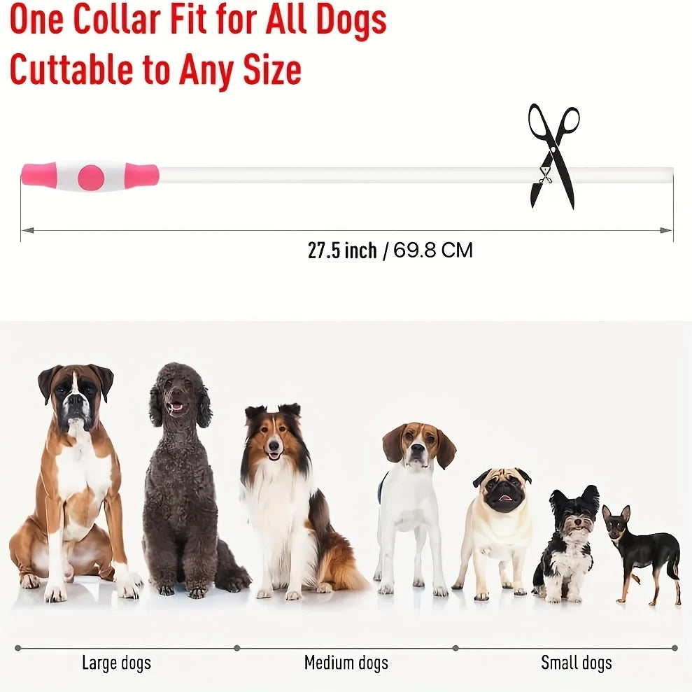 Collar LED Luminoso para Cães - Recarregável e Anti-perda