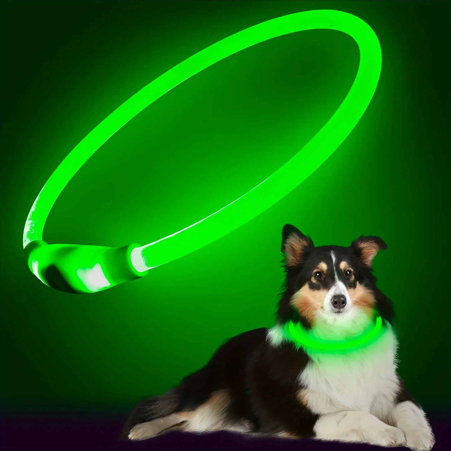 Collar LED Luminoso para Cães - Recarregável e Anti-perda