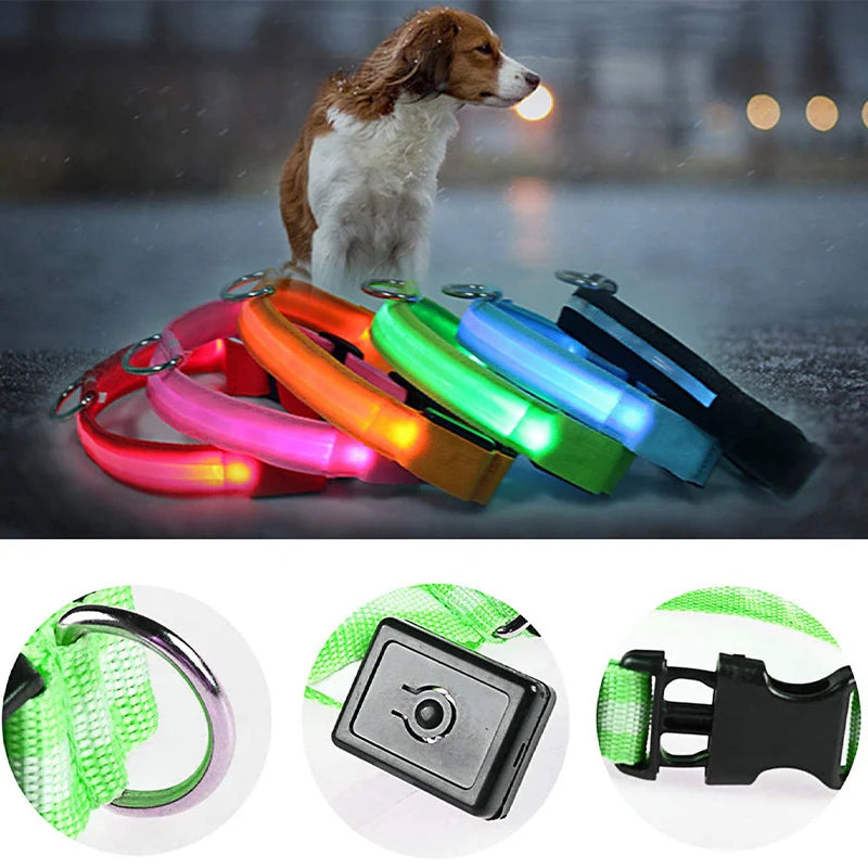 Colar de Cão com LED Carregável USB - Segurança Noturna para Pequenos Animais