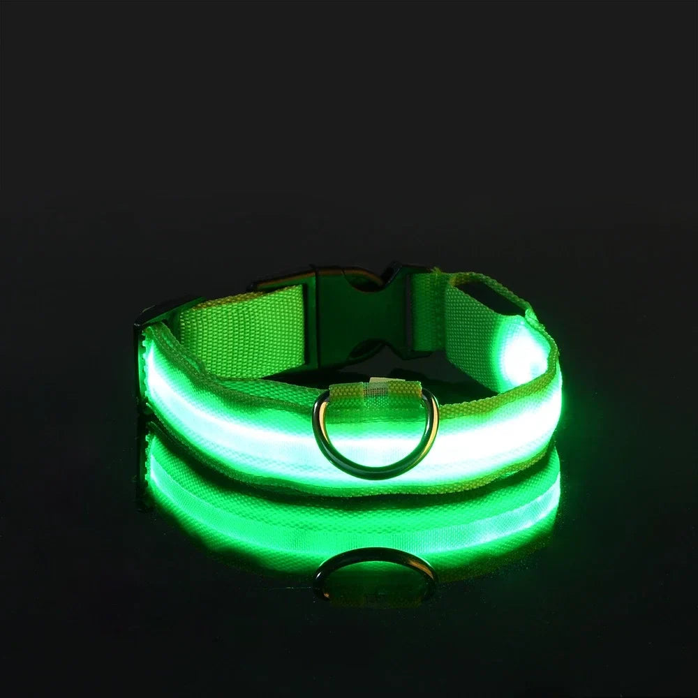 Colar de Nylon com LED para Cães - Segurança Noturna Brilhante e Fluorescente