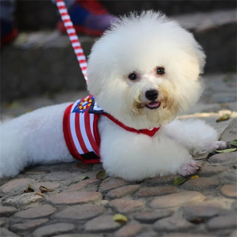 Conjunto de Colete e Guia Respirável para Cães e Gatos Pequenos