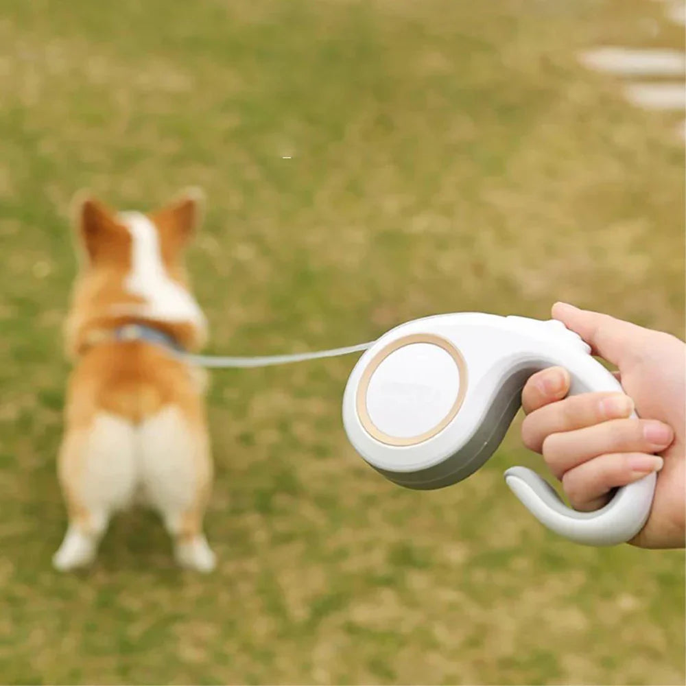 Guia Retrátil para Cachorros em Nylon Resistente - Extensão Automática para Passeios com Pets Pequenos e Médios