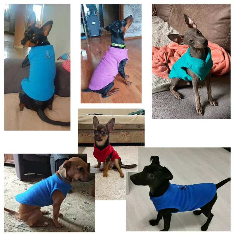 Roupas de Inverno para Cães Pequenos - Casaco Fleece Confortável para Buldogue Francês e Pugs