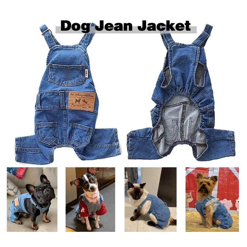 Macacão Jeans para Cães: Conforto e Estilo para Bulldogs e Filhotes