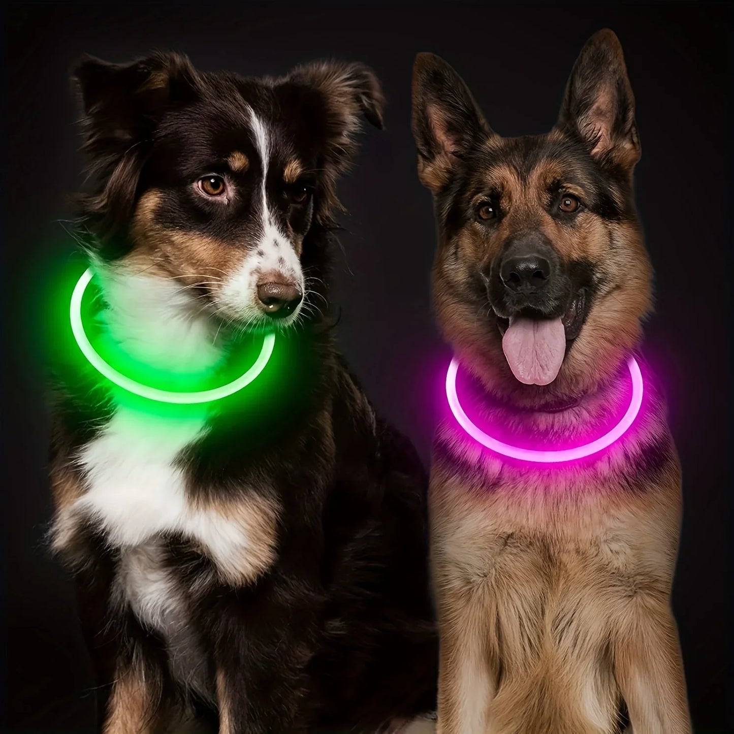 Collar LED Luminoso para Cães - Recarregável e Anti-perda