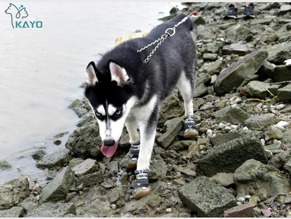 Conjunto de 4 Botas à Prova d'Água para Cães: Calçados Térmicos e Antiderrapantes para Proteger Patas