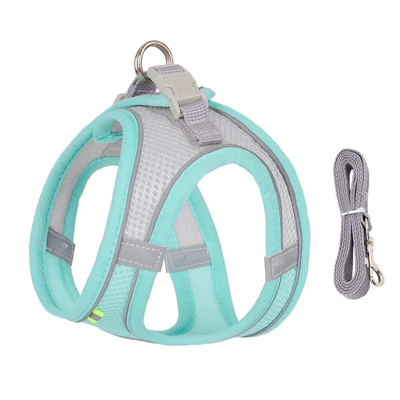 Conjunto de Peitoral e Guia para Cães - Conforto e Segurança