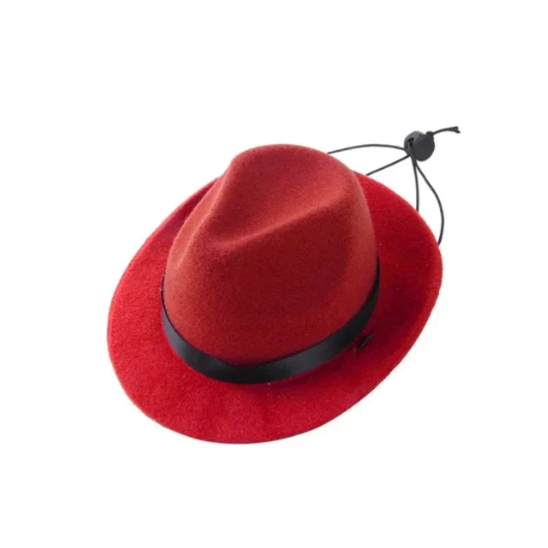 Chapéu de Cowboy para Pets - Estilo e Proteção