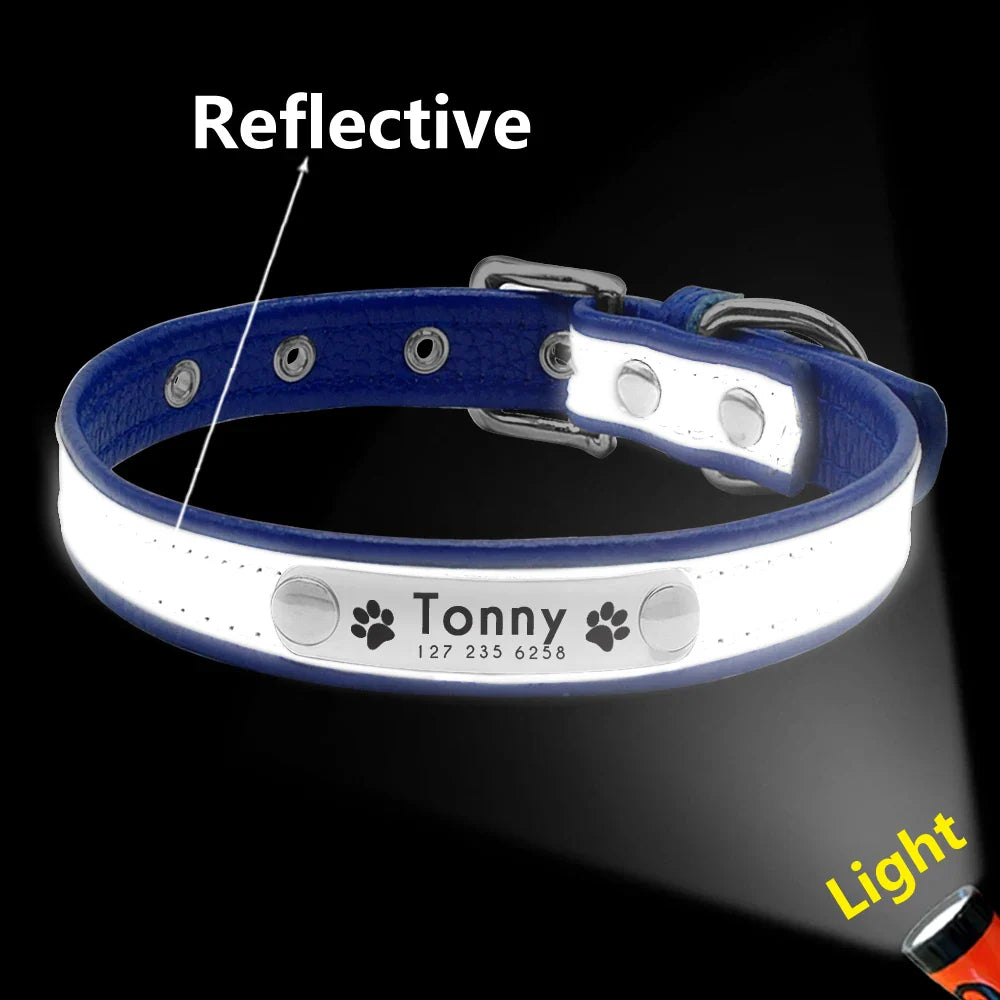 Collar Personalizado para Gatos e Pequenos Pets com Gravação Gratuita - Ajustável e Exclusivo