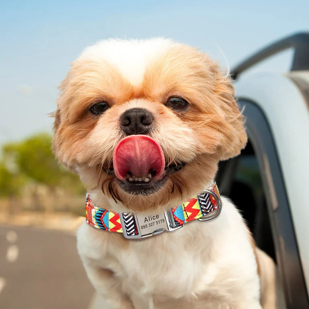 Collar Personalizado para Cães - Impressão Bonita, Nylon Durável, Nome Gravado