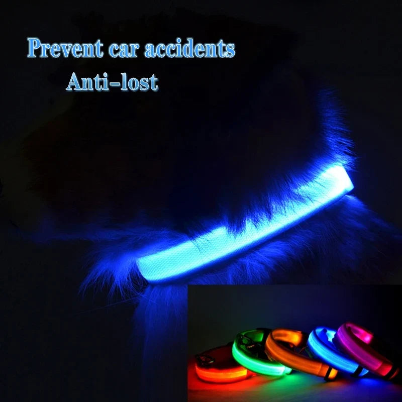 Colar LED Anti-perda para Cães - Iluminação Noturna Recarregável