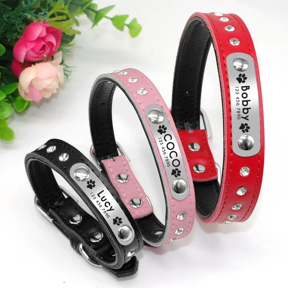 Collar Personalizado para Gatos e Pequenos Pets com Gravação Gratuita - Ajustável e Exclusivo