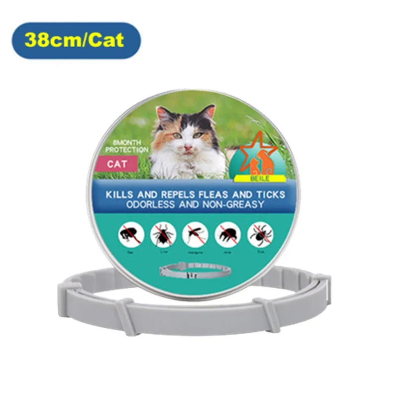 Colar para Cães e Gatos Pequenos - Conforto e Estilo para seu Pet