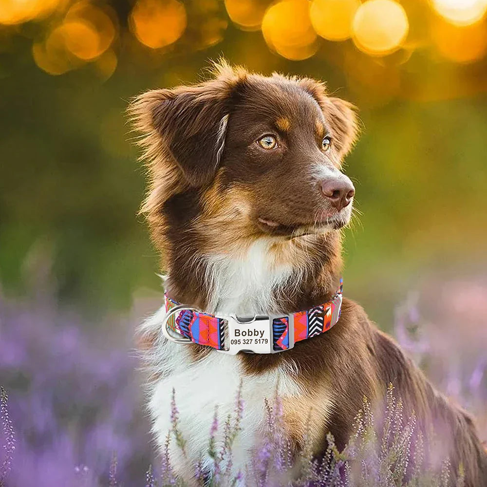 Collar Personalizado para Cães - Impressão Bonita, Nylon Durável, Nome Gravado