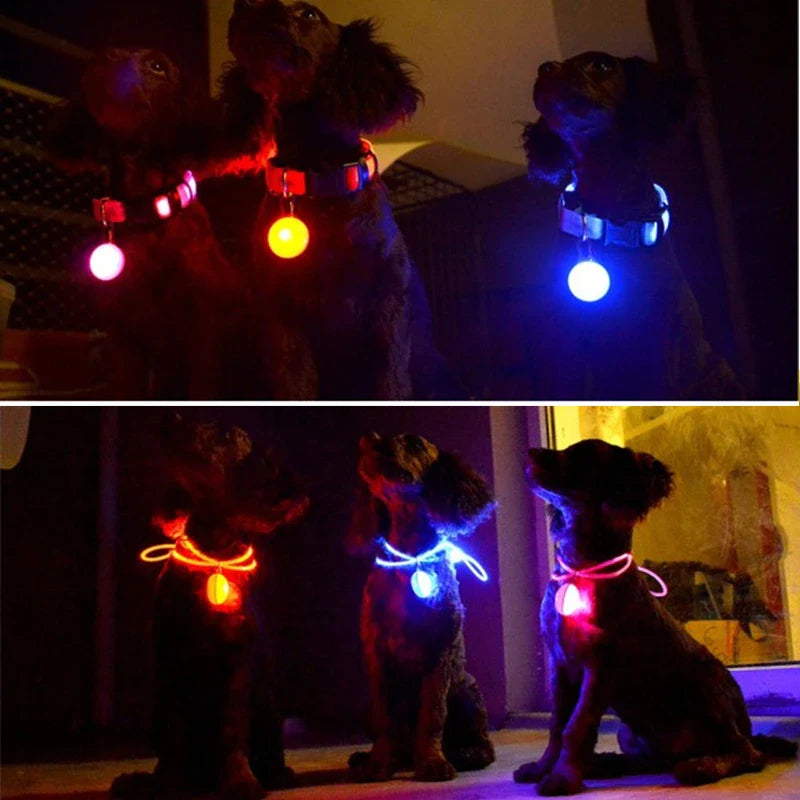 Colar de Cão com LED Carregável USB - Segurança Noturna para Pequenos Animais