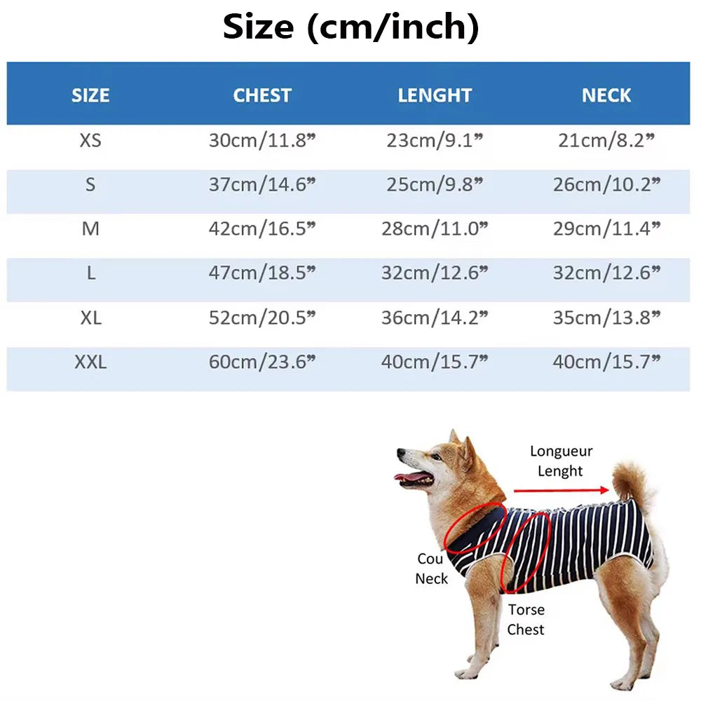 Suéter para Cachorro com Estampa Divertida