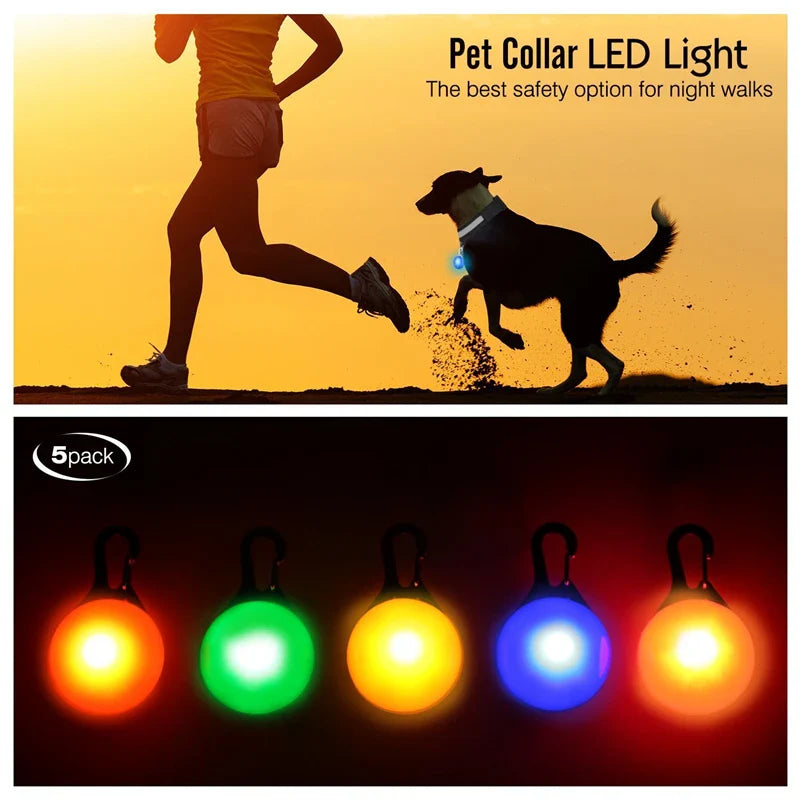 Colar de Cão com LED Carregável USB - Segurança Noturna para Pequenos Animais