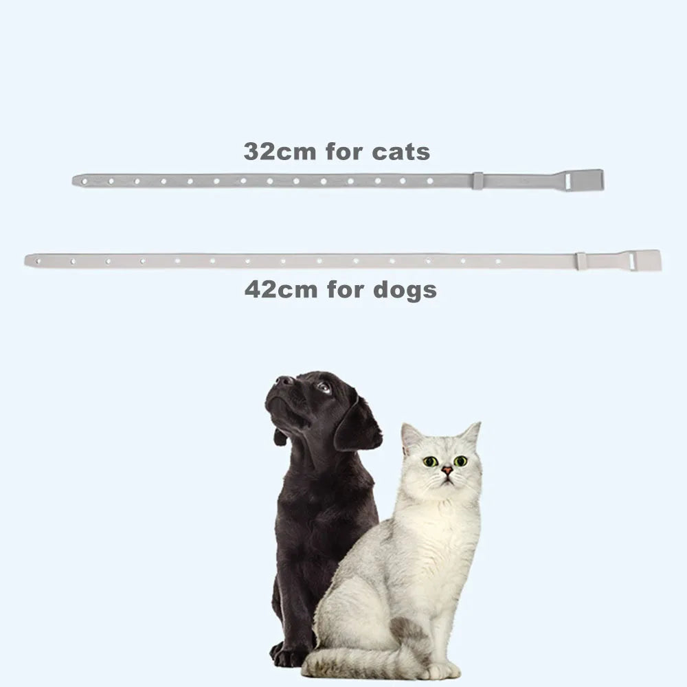 Collar Antiparasitário Ajustável para Gatos e Cães: Proteção de 8 Meses Contra Pulgas e Carrapatos