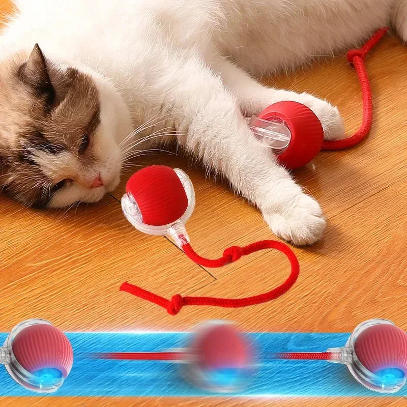 Bola Interativa para Gatos: Brinquedo Automático Elétrico Recarregável