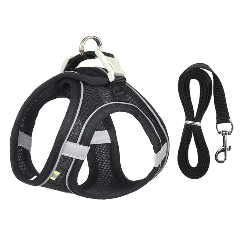 Conjunto de Peitoral e Guia para Cães - Conforto e Segurança