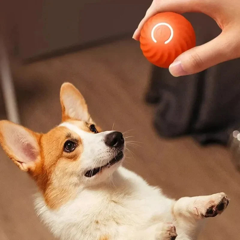 Bolinha Interativa Automática para Cães - Brinquedo Inteligente que Rolam e Pulam