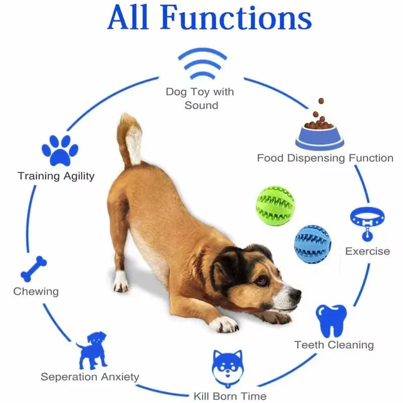 Bolinha Interativa e Elástica para Pets